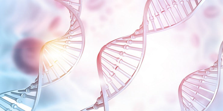All About DNA Repair
