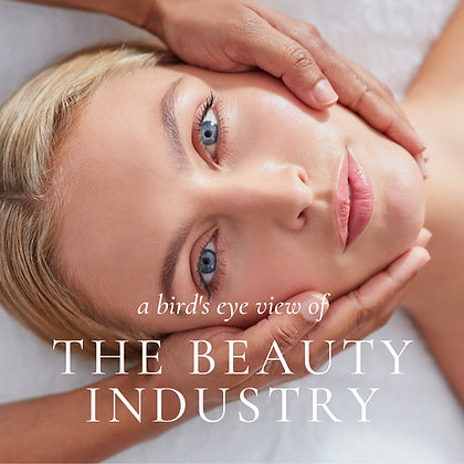 A Bird’s Eye View of the Industry E-book